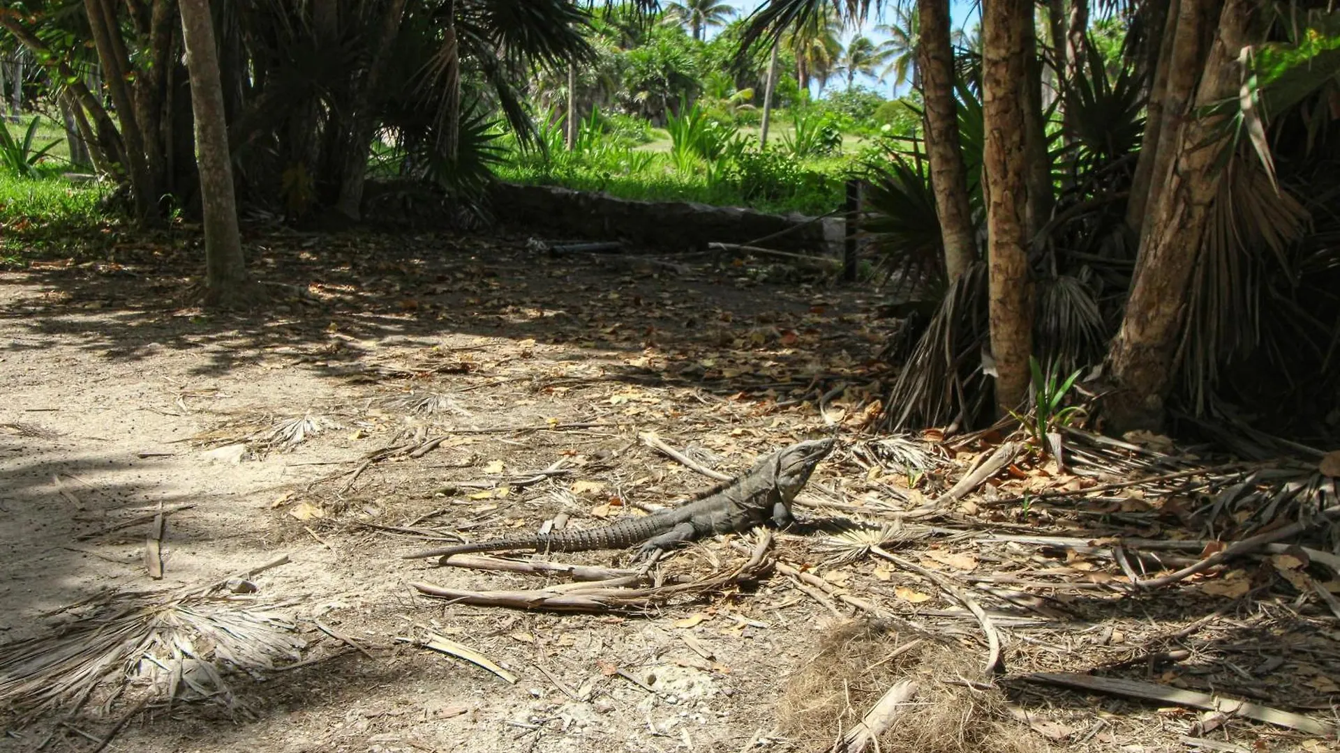 Anah Hunab 409 Sur Studio Tulum Mexico